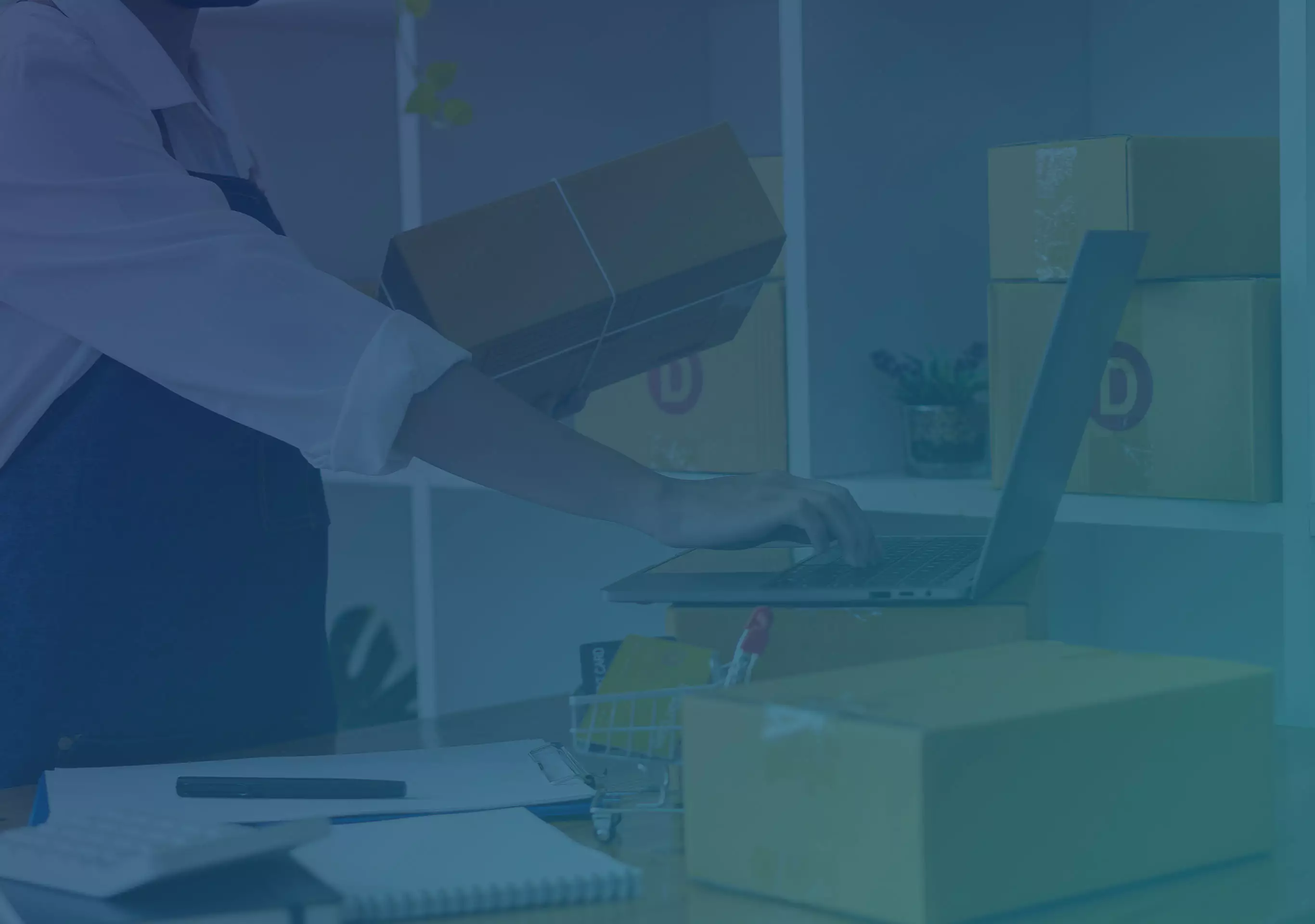 User Experience Design