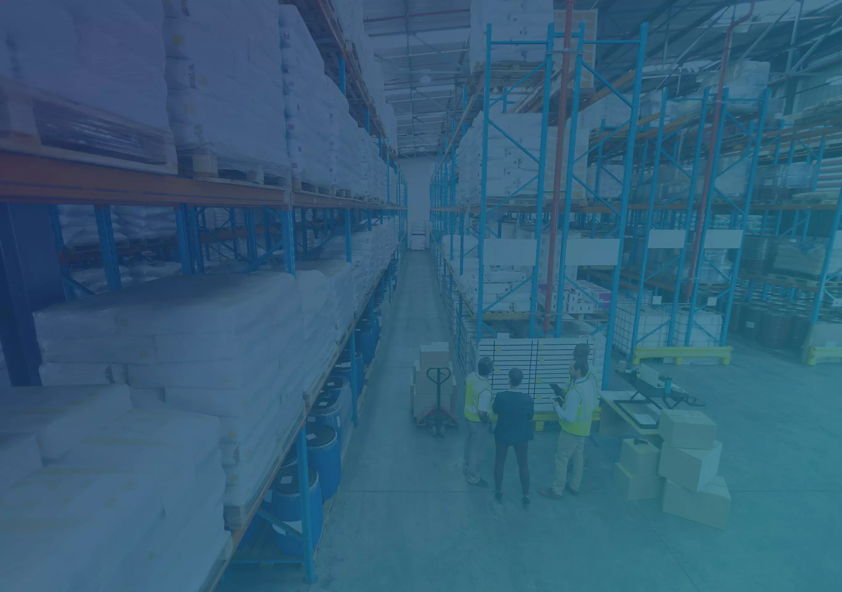 B2B Ecommerce Strategy