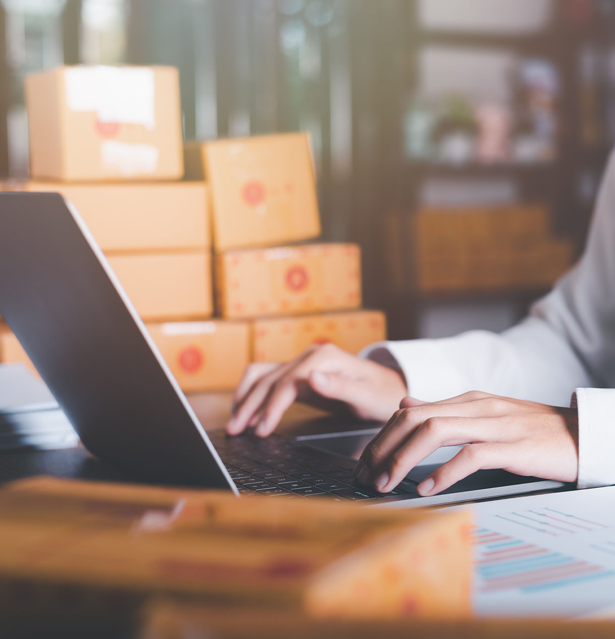 Business Process Modelling (BPM)